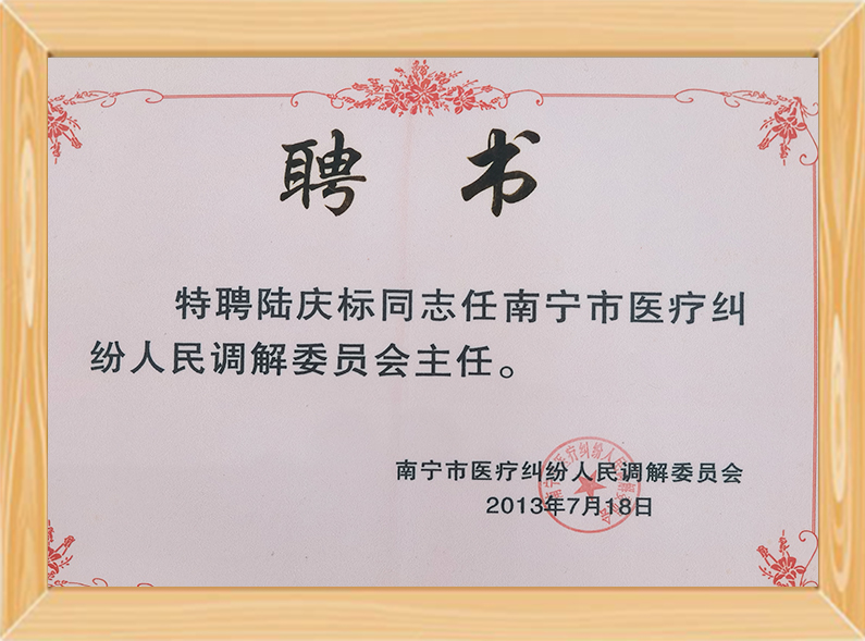 南宁市医疗纠纷人民调解委员会主任