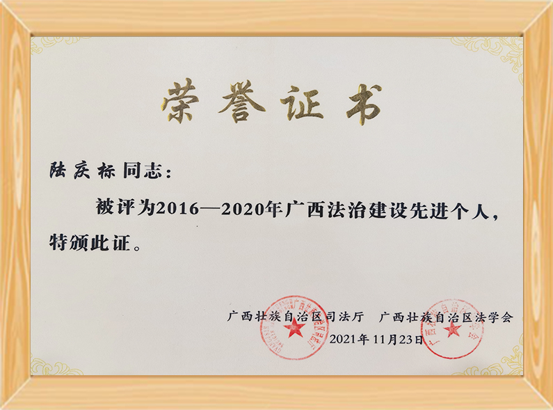 广西法治建设先进个人（2016--2020）