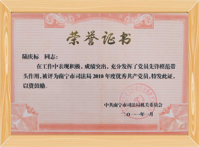 中共南宁市司法局优秀共产党员（2010）